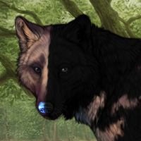 Wolf Headshot