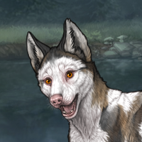 Piebald Headshot