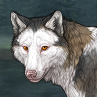 Piebald Headshot