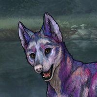 Lovelace's Borealis Headshot