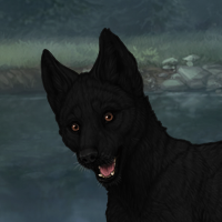 Melanism M Headshot