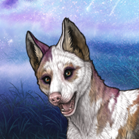 Baela Headshot