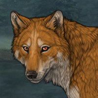 Hunter Headshot