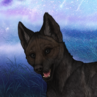 CHASE Headshot