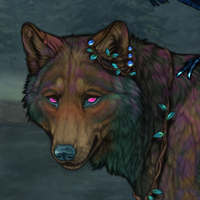 Wolf Headshot