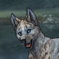 ((Pup))Caribou's Call Headshot