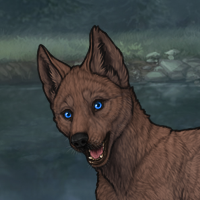 male dark fawn base Headshot