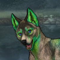 Emeraldpaws Headshot