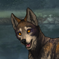 Kelpie Headshot