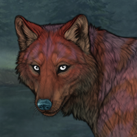 russet male Headshot