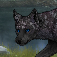 Snowcap Winterwolf Headshot