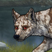 RedE, 5xMerle, Female Headshot