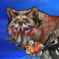 Wolf Headshot