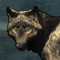 Wolf Headshot