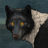 Wolf Headshot