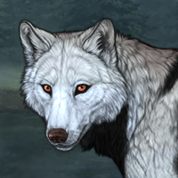 Wolf Headshot