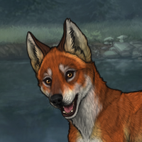 Fox - Carapace Eyr Chaser Headshot