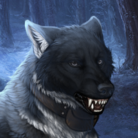 Wolf Headshot