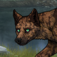 Hollow'Bark Headshot