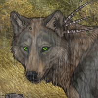 Copar Kiddo Headshot