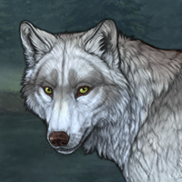 Wolf Headshot