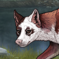 Piebald Headshot