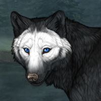 Wolf Headshot