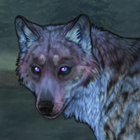 Dream Headshot