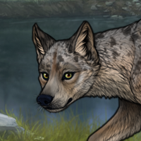 Kaya Headshot