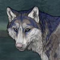 Moonbeam Winterwolf Headshot