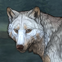 Wolf Headshot