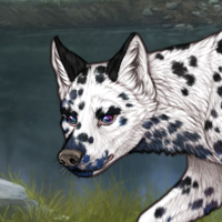 NIB G4 Dalmatian MEL Headshot