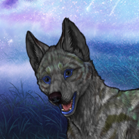 Opele's puppy 1 Headshot