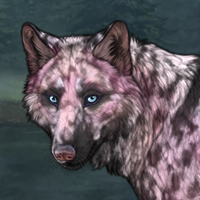 Bloodmoon Winterwolf Headshot