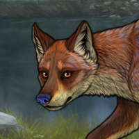 FoxSong Headshot