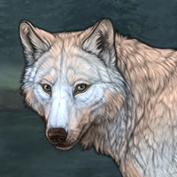 Wolf Headshot