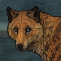 Zangar dog Headshot