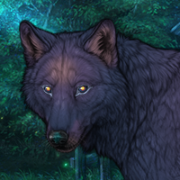 🐺 Moonlight Sonota Headshot