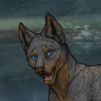 Sensasi Female Pup Headshot