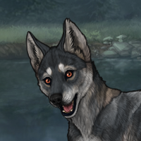 Enclave Pup Headshot