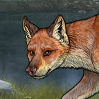 New Puppygen4 fox Headshot