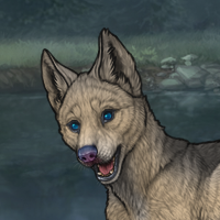 Blueschist Headshot