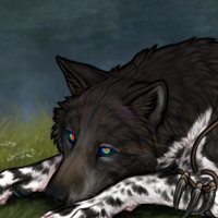 Def (	Piebald: Zerdava ) Headshot