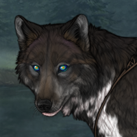 Def (	Piebald: Zerdava ) Headshot