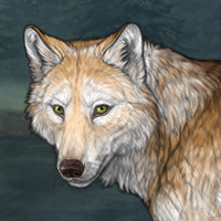 Wolf Headshot