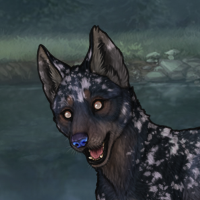 Blueschist Headshot