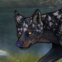 Blueschist Headshot