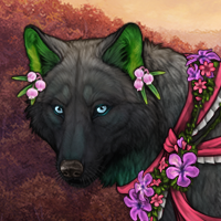 Wolf Headshot