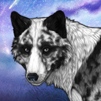 Raine Headshot