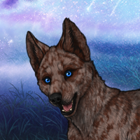 142233 WolfLoverWhisperer Headshot